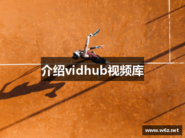 vidhub视频库_vidhub.top_videohub